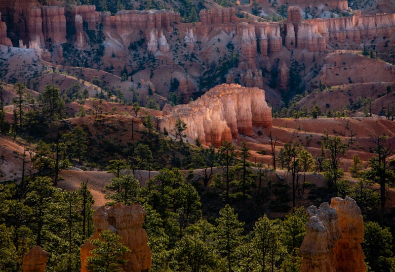 Boulder Hiking, Camping and Lodging Visit Utah Visit Utah